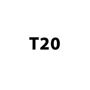 T20