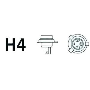 H4