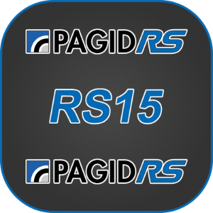 Pagid RS15